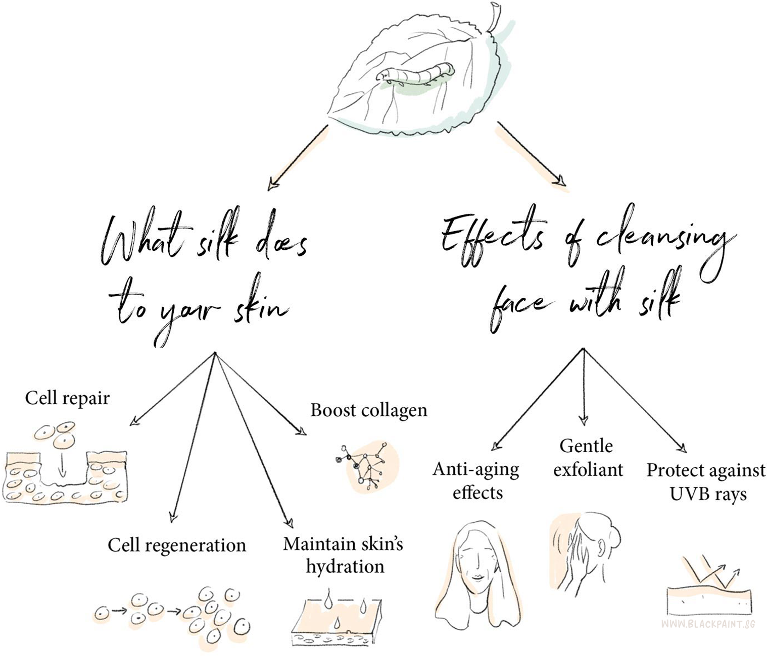 illustration of multiple benefits of using silk in skincare