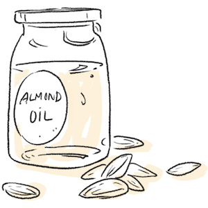 Hand drawn illustration of a bottle of Almond oil and almond seeds