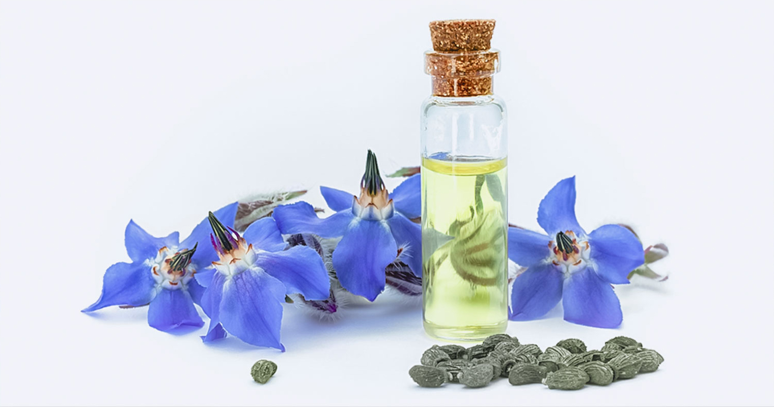 A bottle of Borage oil in front of Borage flower and Borage seeds