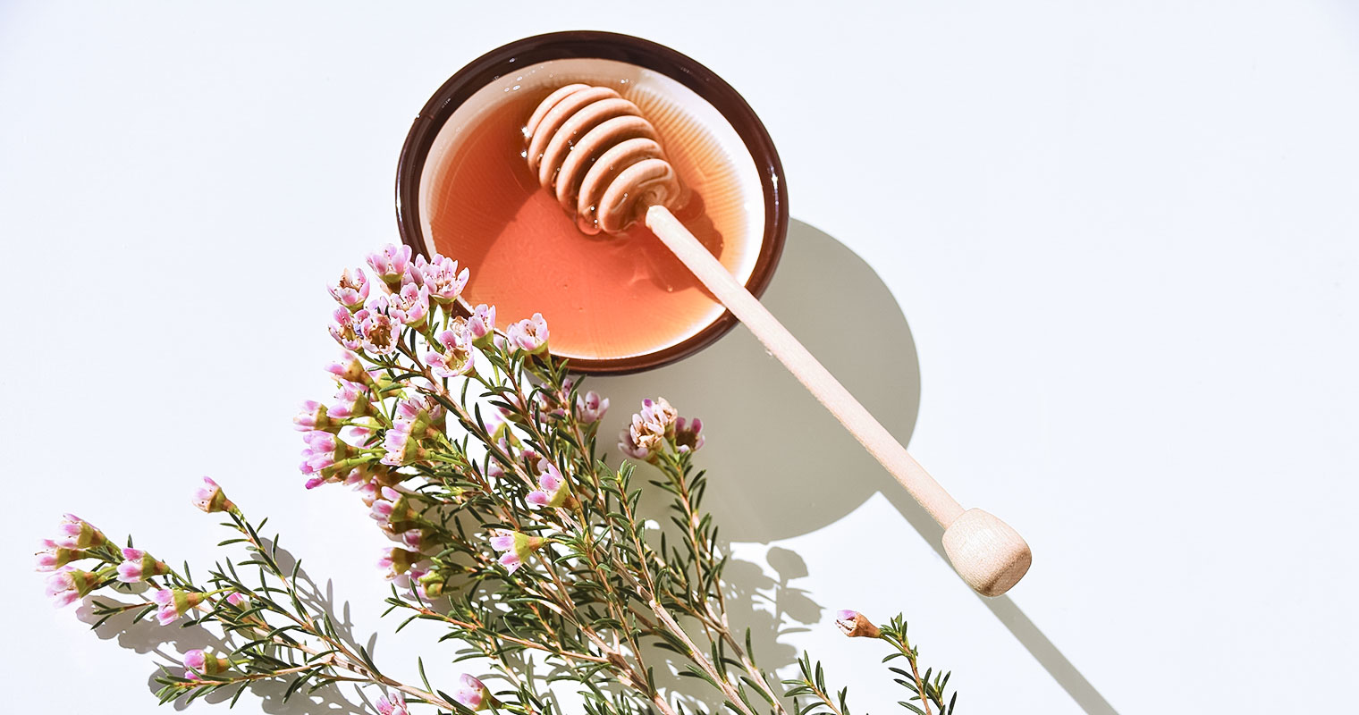 Pink manuka tree flower and manuka honey in a bowl, on a white background.