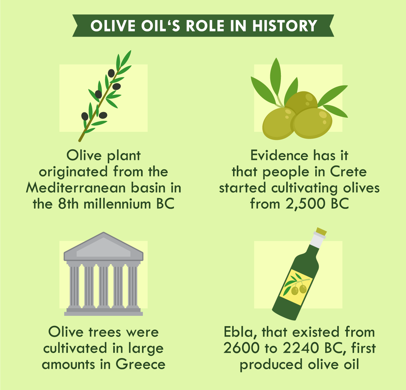 illustration of olive oil's role in history