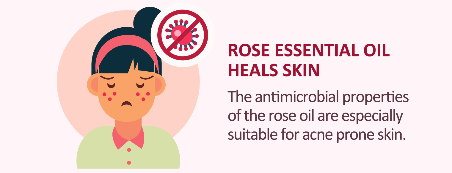 illustration of rose essential oil heals skin