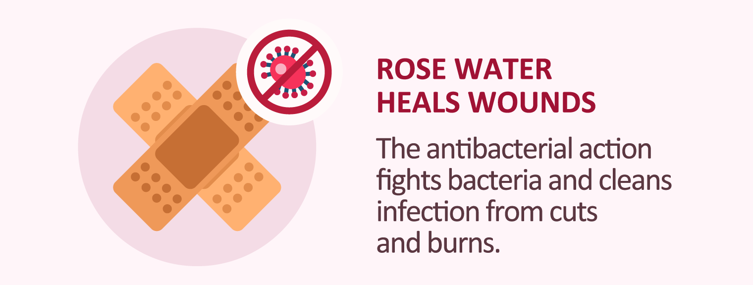 illustration of rose water heals wounds
