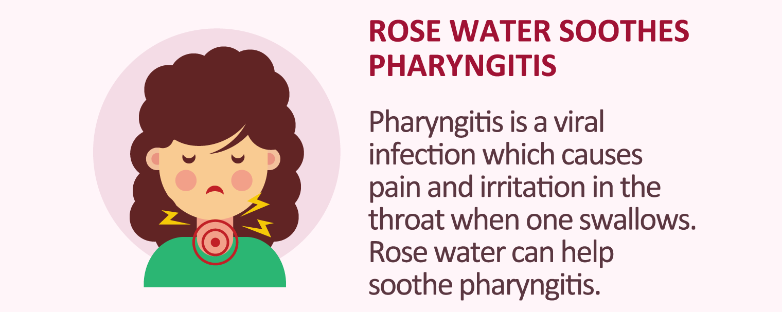 illustration of rose water soothes pharyngitis